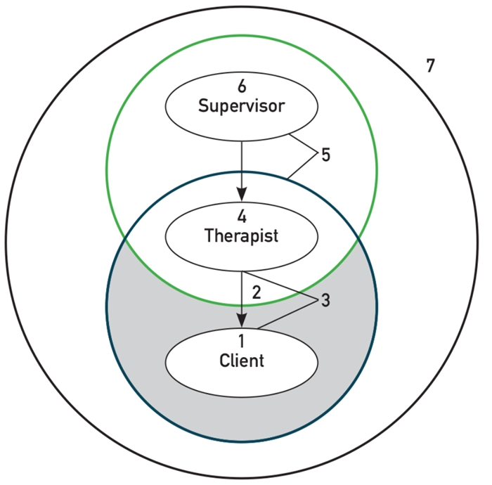 the potential benefits of having supervision in clinical practice ent audiology news having supervision in clinical practice