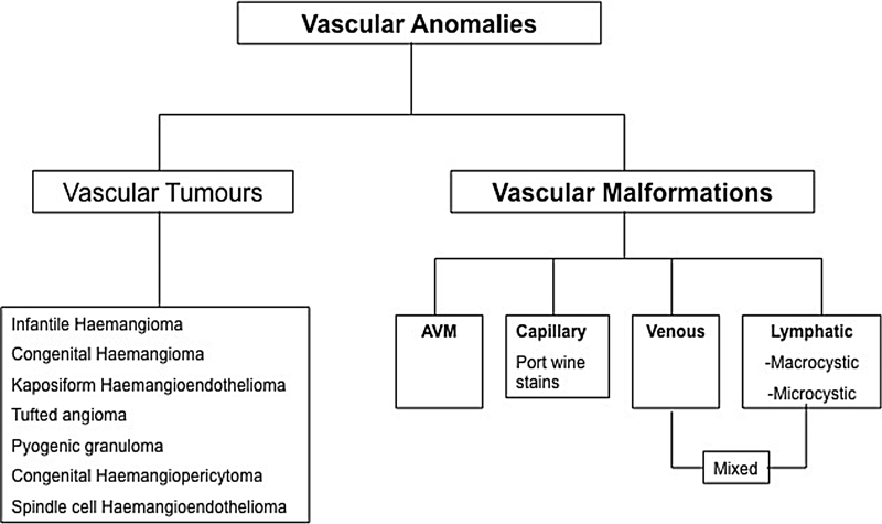 Imaging And Management Of Head And Neck Vascular Anomalies | ENT ...