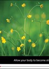 Image of screengrab - Illustrating visual accessibility/imagery of mindful resources.