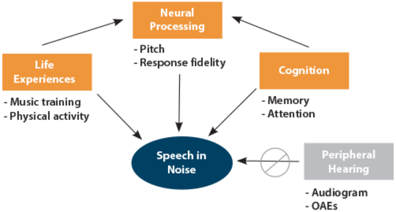 cognitive auditory processing