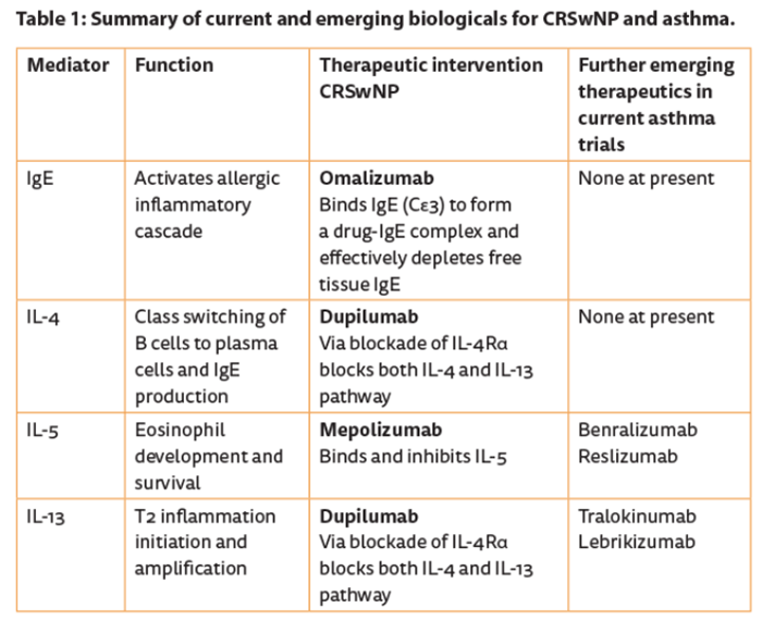 Chronic rhinosinusitis management: back to the future? | ENT ...